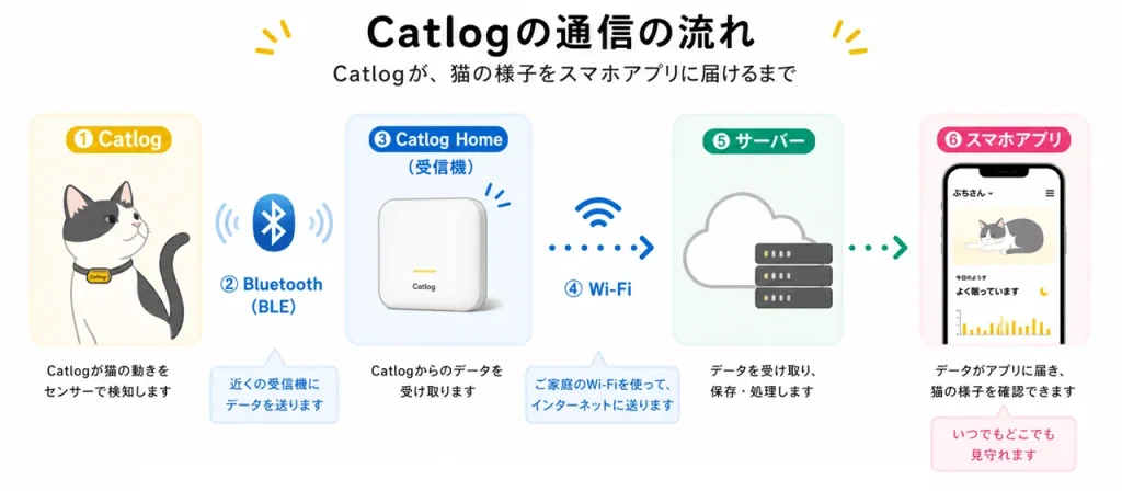 Catlogの通信の流れ